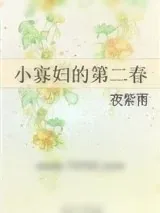 《小寡妇的第二春》小说封面