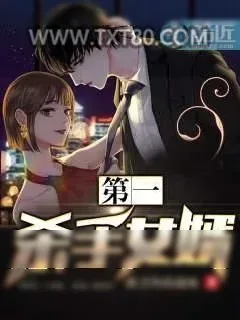 《第一杀手女婿》小说封面