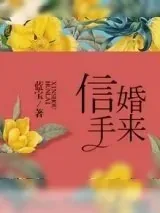 《信手婚来》小说封面