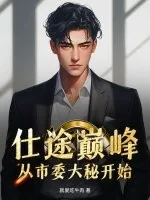 《仕途巅峰：从市委大秘开始！》小说封面