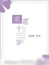 《重返十三岁》小说封面