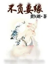 《不负妻缘》小说封面