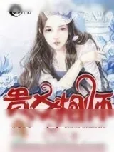 《贵女相师》小说封面
