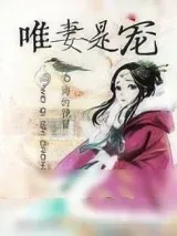 《唯妻是宠》小说封面
