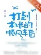 《打到机长的顺风车后》小说封面