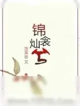 《锦衾灿兮》小说封面