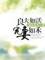 《良夫如沃宠妻如禾》小说封面