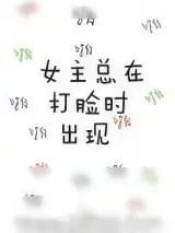 《女主总在打脸时出现》小说封面
