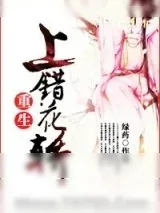 《上错花轿（重生）》小说封面