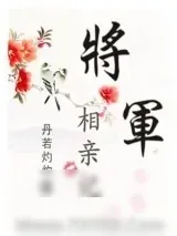 《将军相亲记》小说封面