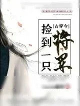 《捡到一只将军[古穿今]》小说封面