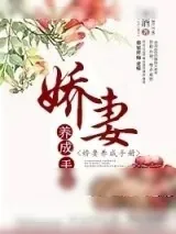 《娇妻养成手册》小说封面