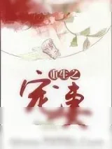 《重生宠妻》小说封面