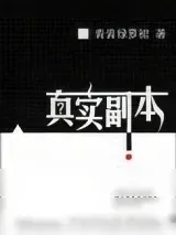 《真实副本》小说封面