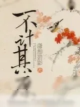 《不计其庶》小说封面