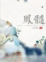 《凤髓》小说封面