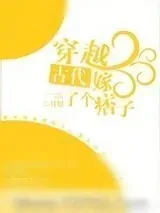 《穿越古代嫁了个痞子》小说封面