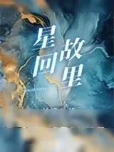 《星回故里》小说封面
