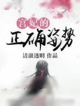 《宫妃的正确姿势》小说封面