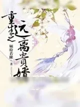 《重生之远离贵婿》小说封面
