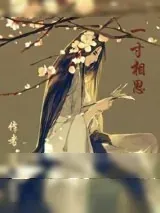 《一寸相思》小说封面