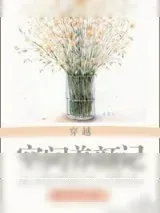 《[穿越]空间养颜记》小说封面