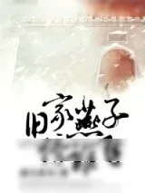 《旧家燕子傍谁飞》小说封面