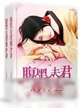 《腹黑夫君戏冷妻》小说封面