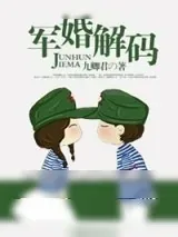 《军婚解码》小说封面