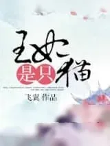《王妃是只猫》小说封面