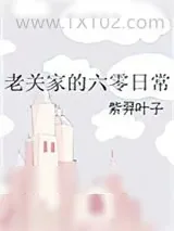 《老关家的六零日常》小说封面
