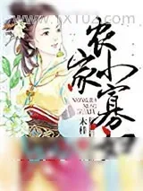 《农家小寡妇》小说封面