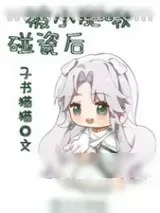 《被小肥啾碰瓷后》小说封面