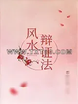 《风水辩证法》小说封面