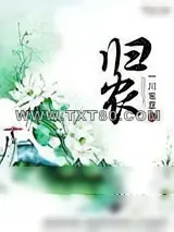 《归农》小说封面