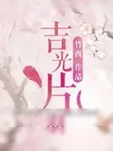 《吉光片羽》小说封面