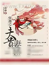《穿越之夫贵妻娇》小说封面