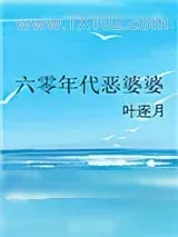 《六零年代恶婆婆》小说封面