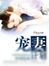《宠妻计划》小说封面