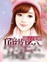 《暖心宠婚:顶级老公坏透了》小说封面