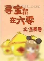 《寻宝鼠在六零》小说封面