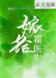 《嫁给霍医生》小说封面