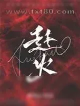 《赴火》小说封面