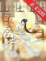 《宫女在逃》小说封面