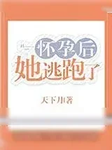 《怀孕后她逃跑了》小说封面