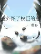 《意外怀了权臣的崽》小说封面