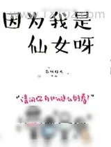 《因为我是仙女呀》小说封面