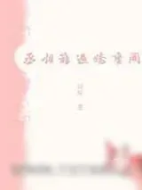 《娇蛮关》小说封面