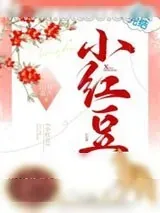 《小红豆》小说封面