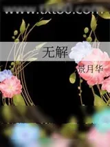 《无解》小说封面